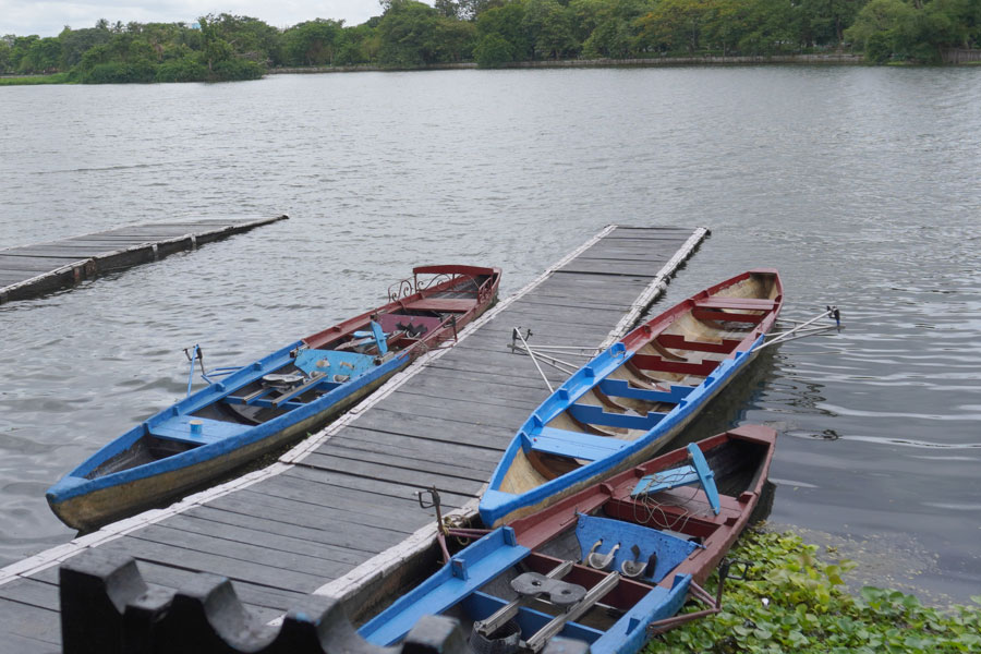 Rowing