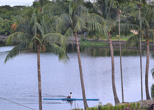 Rowing